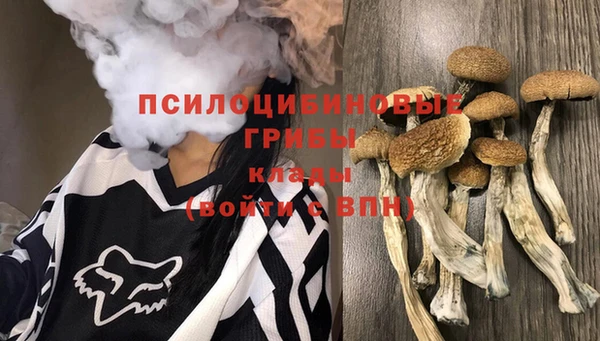 MESCALINE Балахна