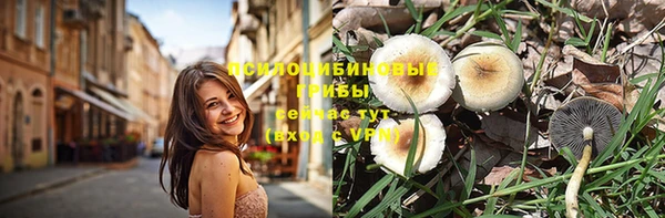 Альфа ПВП Балабаново