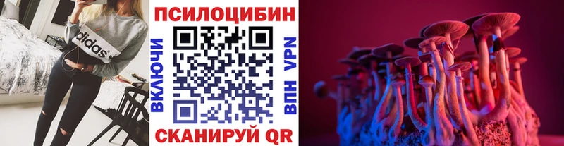 Псилоцибиновые грибы Magic Shrooms  наркотики  Фатеж 